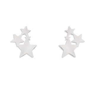 گوشواره نقره گلاویژ
