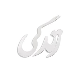 گوشواره نقره زندگی